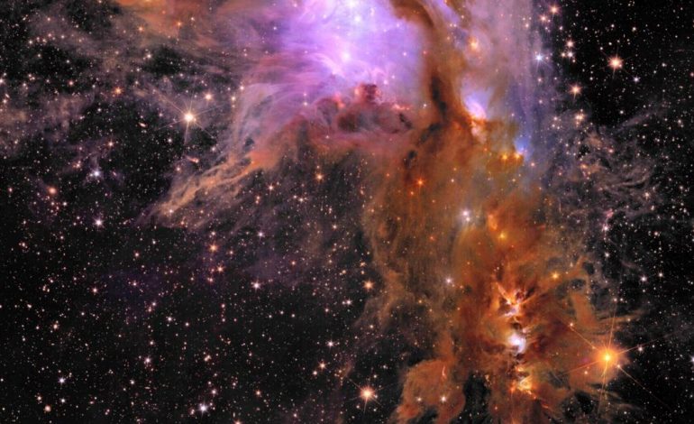 Massive cradle of baby stars revealed by European space telescope