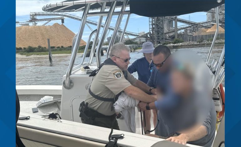 Shark bite reported near Fernandina Beach, 1 taken to hospital