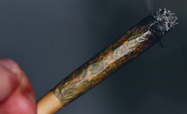 Florida toddler hospitalized after eating marijuana joint