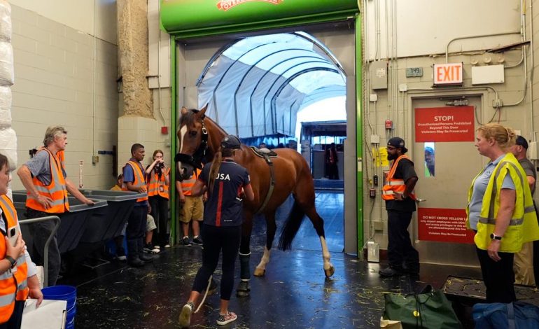 Horses fly in style to the Paris Olympic Games